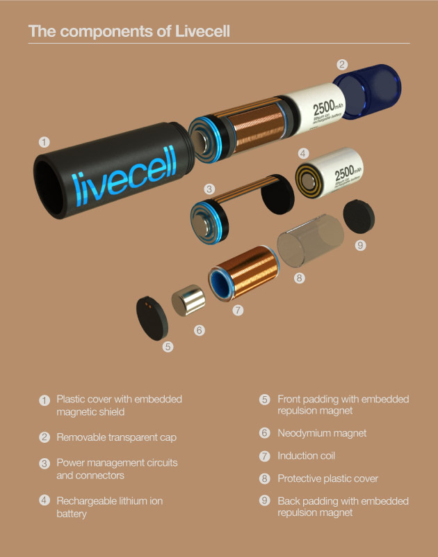 Livecell_image_03